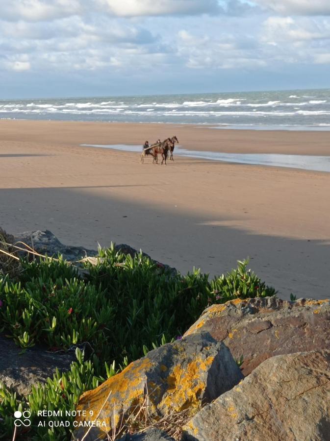 Gite La Hulotte Saint-Laurent-sur-Mer Buitenkant foto